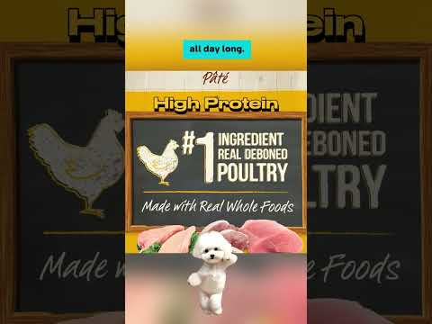 Why Merrick Purrfect Bistro Grain Free Cat Food is Perfect for Adult Cats! #cat #catfood #catlover