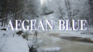 Common Holly – Aegean blue