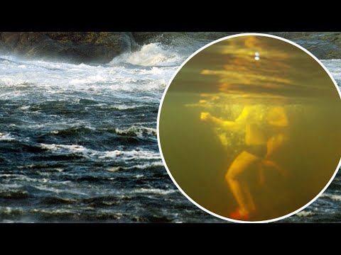 30 meter långt havsdjur oroar Västkusten | Nyhetsmorgon | TV4 & TV4 Play