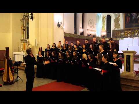 Capella juris: Rosite nebesa - Hrvatska