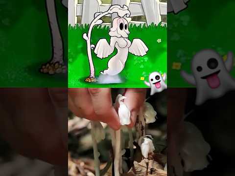 The Ghost Pipe Plant 👻 (PVZ) #pvz #plantsvszombies