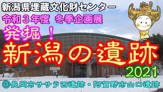 新潟県埋蔵文化財センター 冬季企画展 発掘!新潟の遺跡2021 ③長岡市ササラ西遺跡・阿賀野市山口遺跡