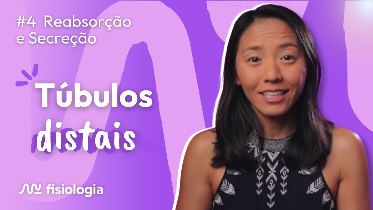 [#4] REABSORÇÃO E SECREÇÃO TUBULAR: TÚBULO DISTAL, TÚBULO CONECTOR E DUCTO COLETOR | MK Fisiologia