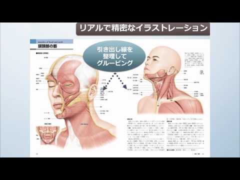 植物ベースの「死体探知犬」: 法医学者が人間の骨格をより迅速に発見する方法