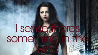 Sally’s Song Lyrics ~ Amy Lee