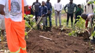 Union Farms of Africa (UFA)