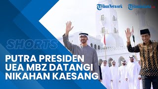 Rombongan Mobil Putra Presiden UEA MBZ Hadiri Tasyakuran Pernikahan Kaesang dan Erina