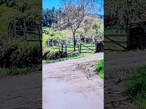 Inovação e cuidado moldam o futuro da fauna.