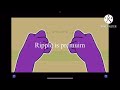 Preview 2 Tpot Intro Effects