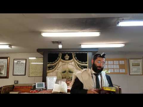 Cooking/warming up foods on shabbat