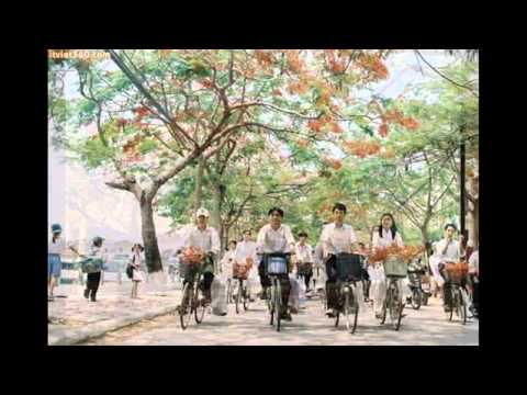 Ngày xưa còn đi học Sheet - Như Mai