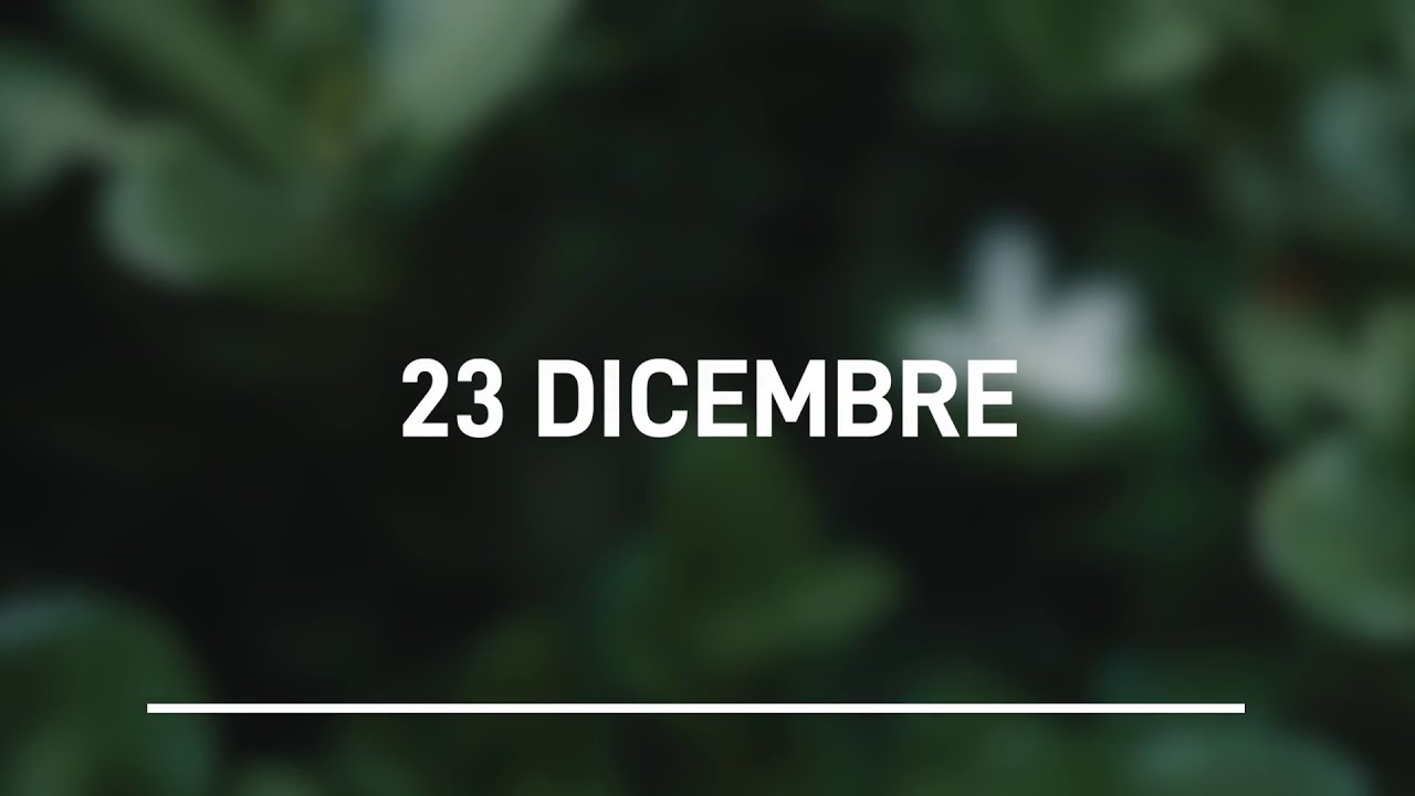 Meditazione Calendario “Parole di Vita” del 23 Dicembre 2023