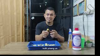 Download lagu Membasmi Lalat Dengan Ralat mp3
