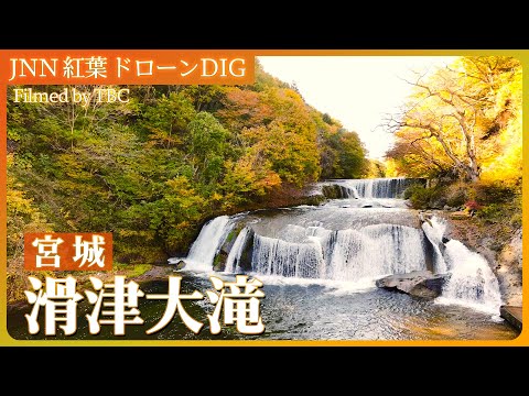 七ヶ宿町・滑津大滝の紅葉【JNN 紅葉ドローンDIG 2024】｜TBS NEWS DIG