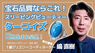 動画のサムネイル