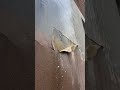 Wet Rain