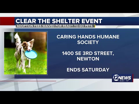 Caring Hands Humane Society Ks