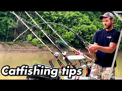 Tips for Locating and Catching Catfish