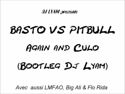 BASTO vs PITBULL Again and Culo (Dj Lyam Bootleg) [LMFAO, Big Ali & Flo Rida Rework]