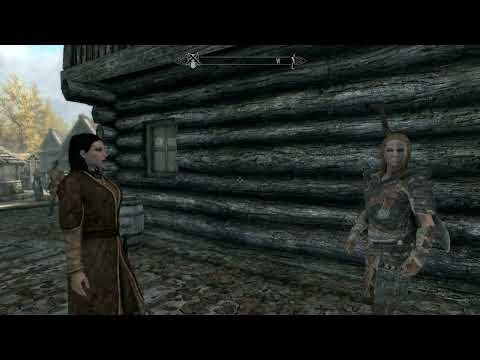Skyrim_ Riften Argument between Mjoll the Lioness and Maven Black-Briar