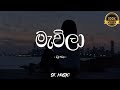 Mawila මැවිලා Lyrics Video DILU Beats Feat KingLotuss