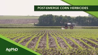 Post-Emerge Weed Control In Corn (From Ag PhD #1152 - Air Date 5-3-20)