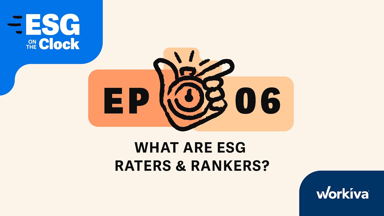 What are ESG Raters & Rankers?