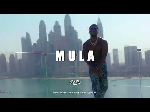(SOLD)   Dopebwoy x Frenna x Bryan mg Afrobeat Type Beat - "MULA" Prod by Polanskyy & @rifisoul