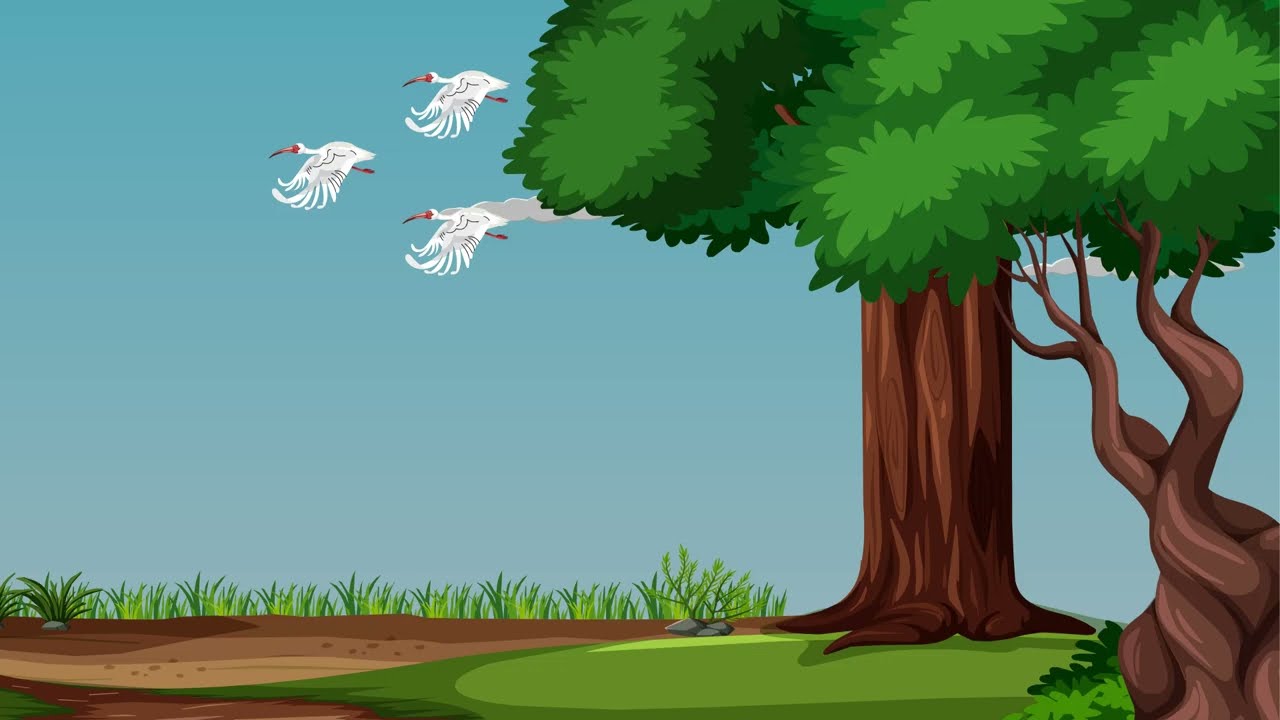 Bird Fly Animation | BD Animation Sector