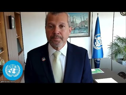 Video Thumbnail: Strait of Hormuz - Int'l Maritime Organization (IMO) Press Conference | United Nations