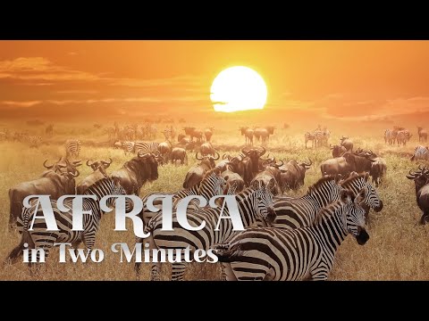 Welcome to Africa - The Mother of Mankind | 4K