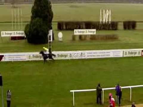 Galopprennbahn Dresden - 22.11.2013  1. Rennen