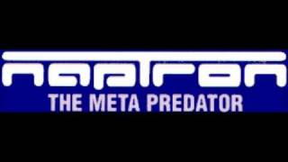 Naptron-Styles Of Madness