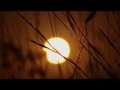 Whatsapp Video Status Yeh Haseen Waadiyaan Ye Khula Aasmaan Roja