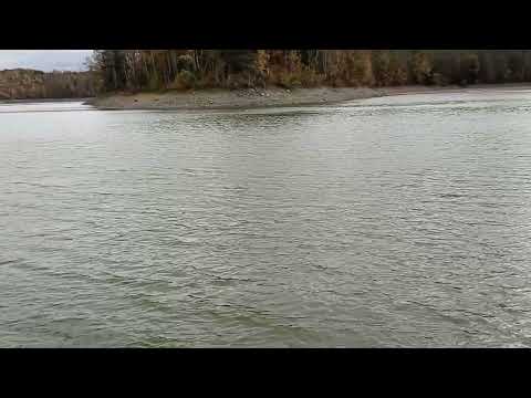 Wippertalsperre, 7.11.2022 VID 20221107 133829