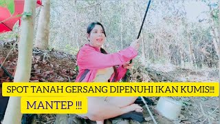 Download lagu mancing ikan lais mp3