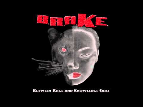 B.R.A.K.E. - My Heart Will Go On (Celine Dion cover)