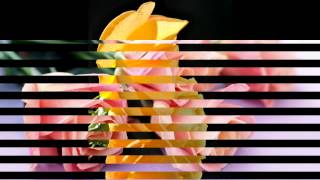 ♥ Roses & Flowers ♥  Ease and Release