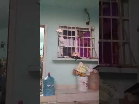 soy nada y si quieres grabar con la puerta cómo se llaman a los 1000 millones de suscriptores