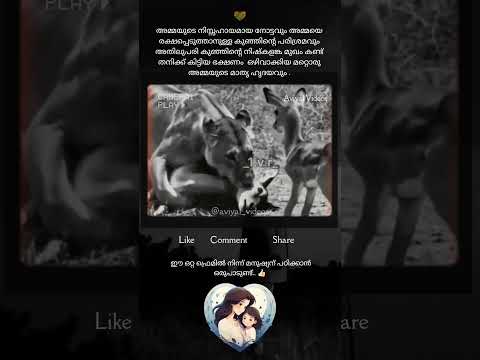😢 അമ്മയുടെ സ്നേഹം മനസ്സിലാക്കിയ വേറൊരു അമ്മ  ❤️ Lion Mom Spares Deer Mom & Baby | Emotional #Shorts
