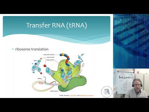 Bioinformatics for plant and animal sciences - Lecture 4 (Part 2)