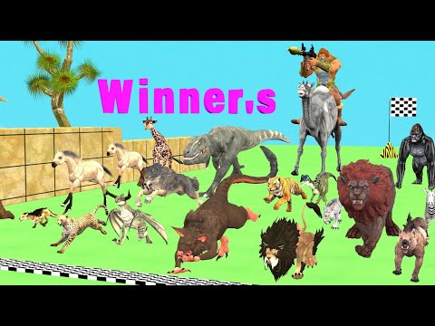 16 Wild Animals vs Gaint Lion rocket fire with dinosaur run race|Animals Doodles TV|Animals revolt