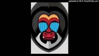 The J.B.'s Reunion - Who Do You Think You're Fooling