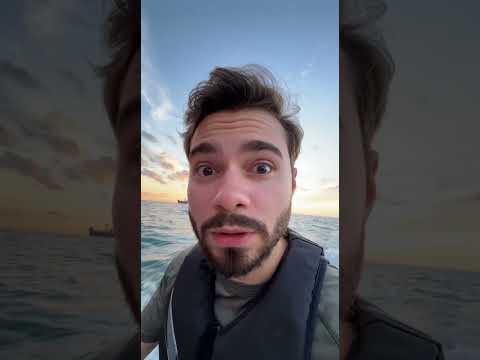 Encontrei um contêiner que caiu no mar com uma Lamborguini roxa dentro 😂