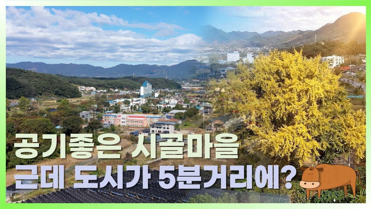 시골인데 5분이면 도심? [강원365]