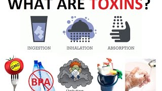 15 Powerful Common Ways We Make Our Bodies Toxic & Sick (Need to know this) & How to HEAL Ourselves!