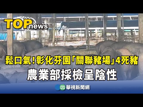 鬆口氣！彰化芬園「關聯豬場」4死豬　農業部採檢呈陰性