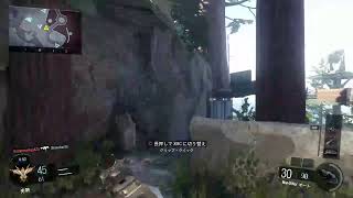 実況垂れ流し