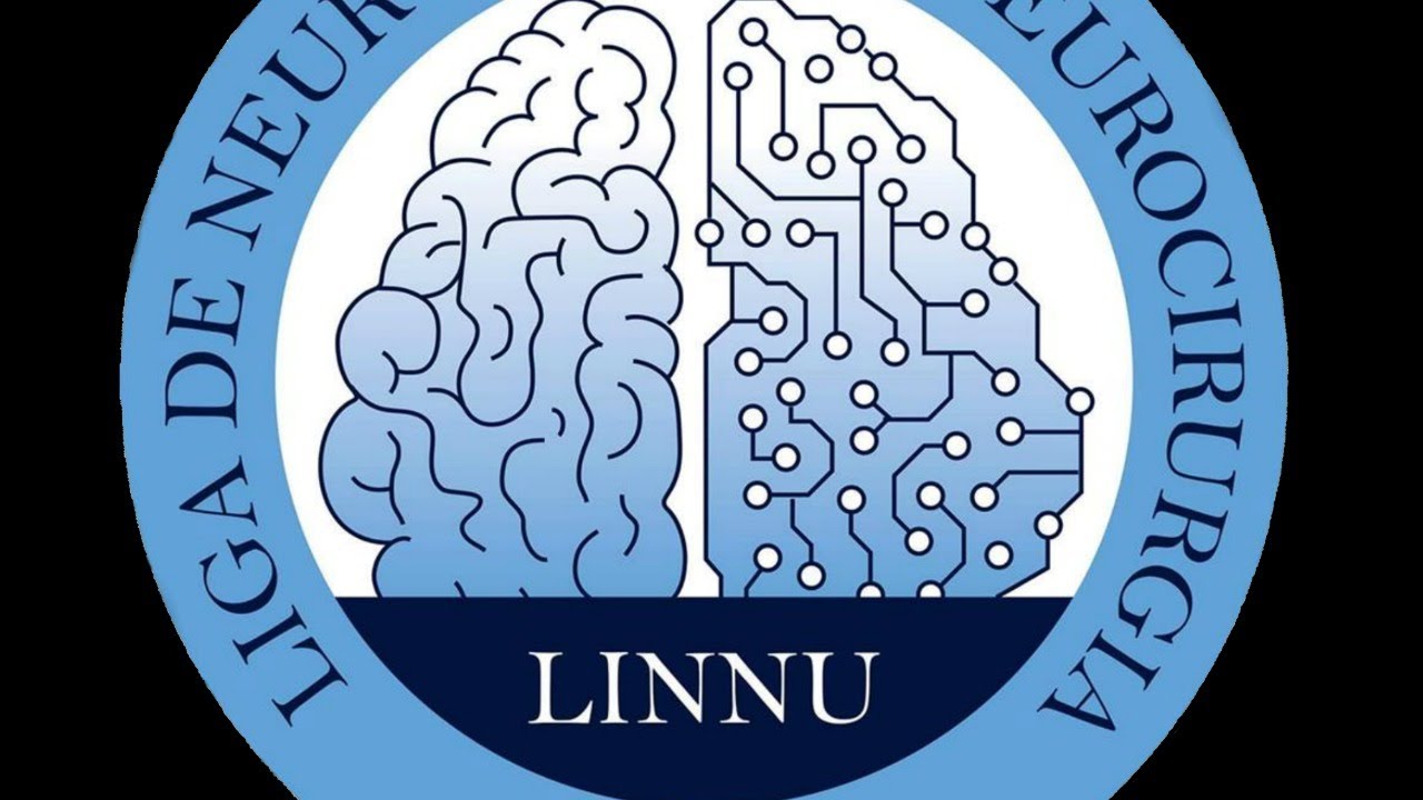 Epilepsia: Mecanismos com Maria Elisa Calcagnotto