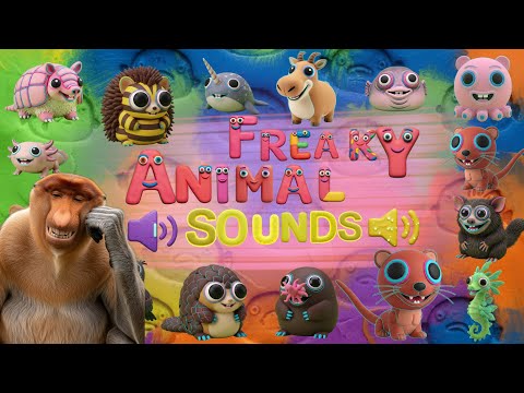 Strange & Freaky Animal Sounds! 👀 | Freaky Safari of Strange Animals 🦧